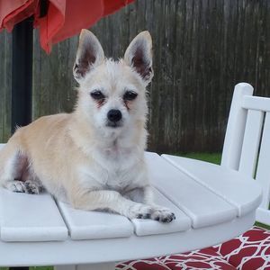 Meet your Posher, Elise